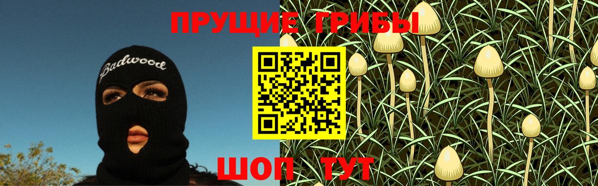 Галлюциногенные грибы мухоморы  Псилоцибиновые грибы GOLDEN TEACHER  Омск  Вход с VPN 